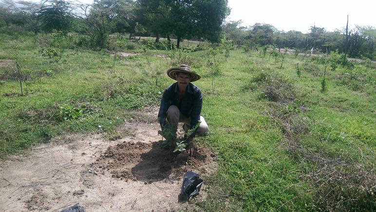 ColombiaMedio ambiente responsabilidad social corporativa yanapaqui