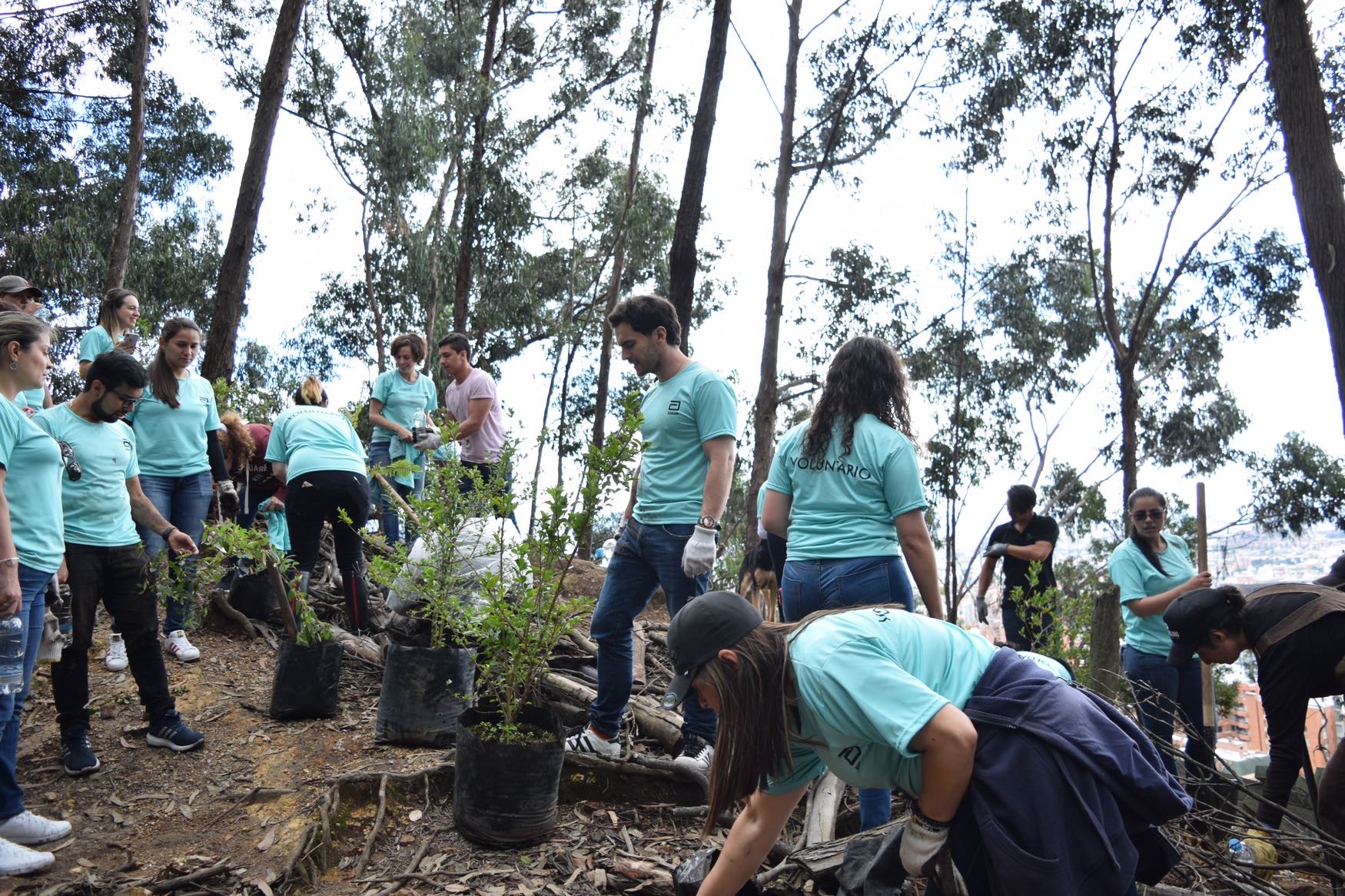 Yanapaqui Servicios Voluntariado Corporativo