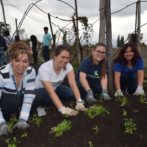 Yanapaqui Servicios Voluntariado Corporativo Colombia