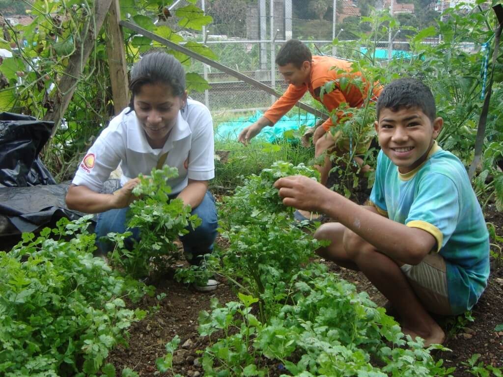 Educación ambiental en programas empresariales yanapaqui